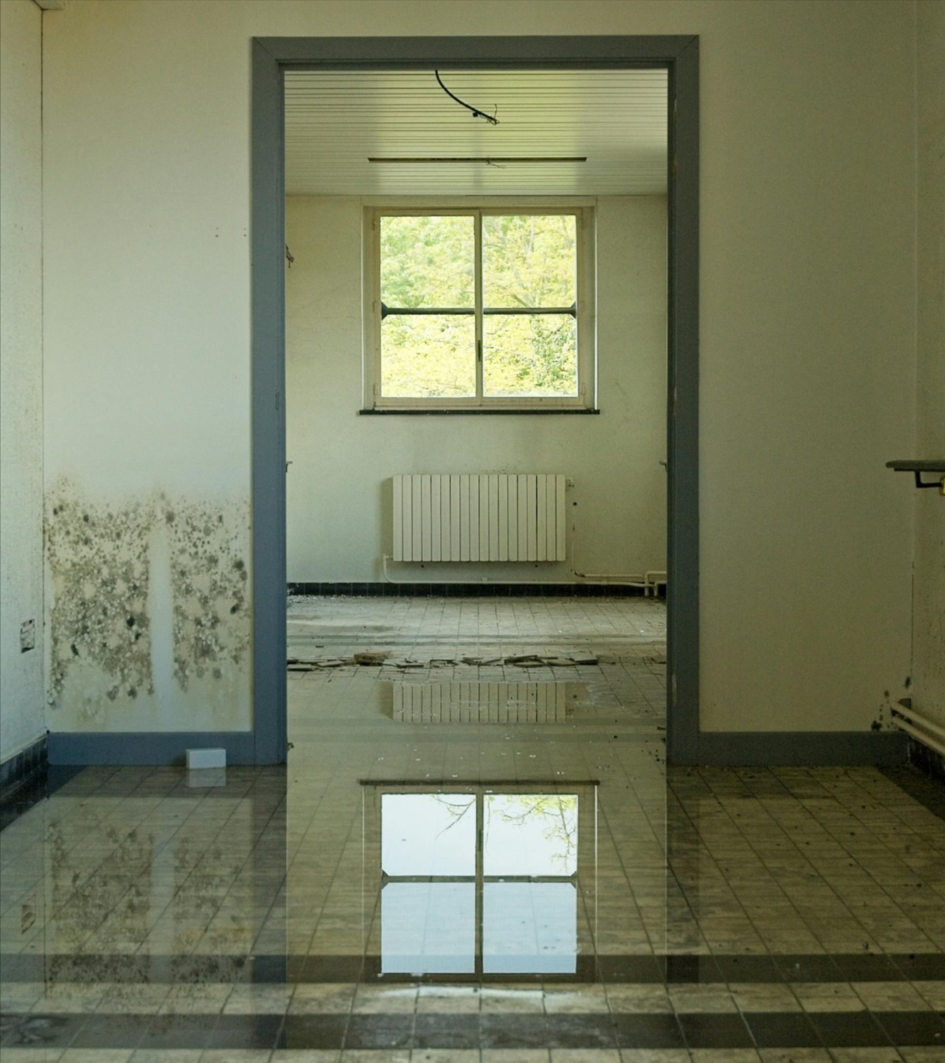 Fire, Water, Mold restoration services in Kingman, AZ Fire, Water, Mold restoration services in Kingman, AZ