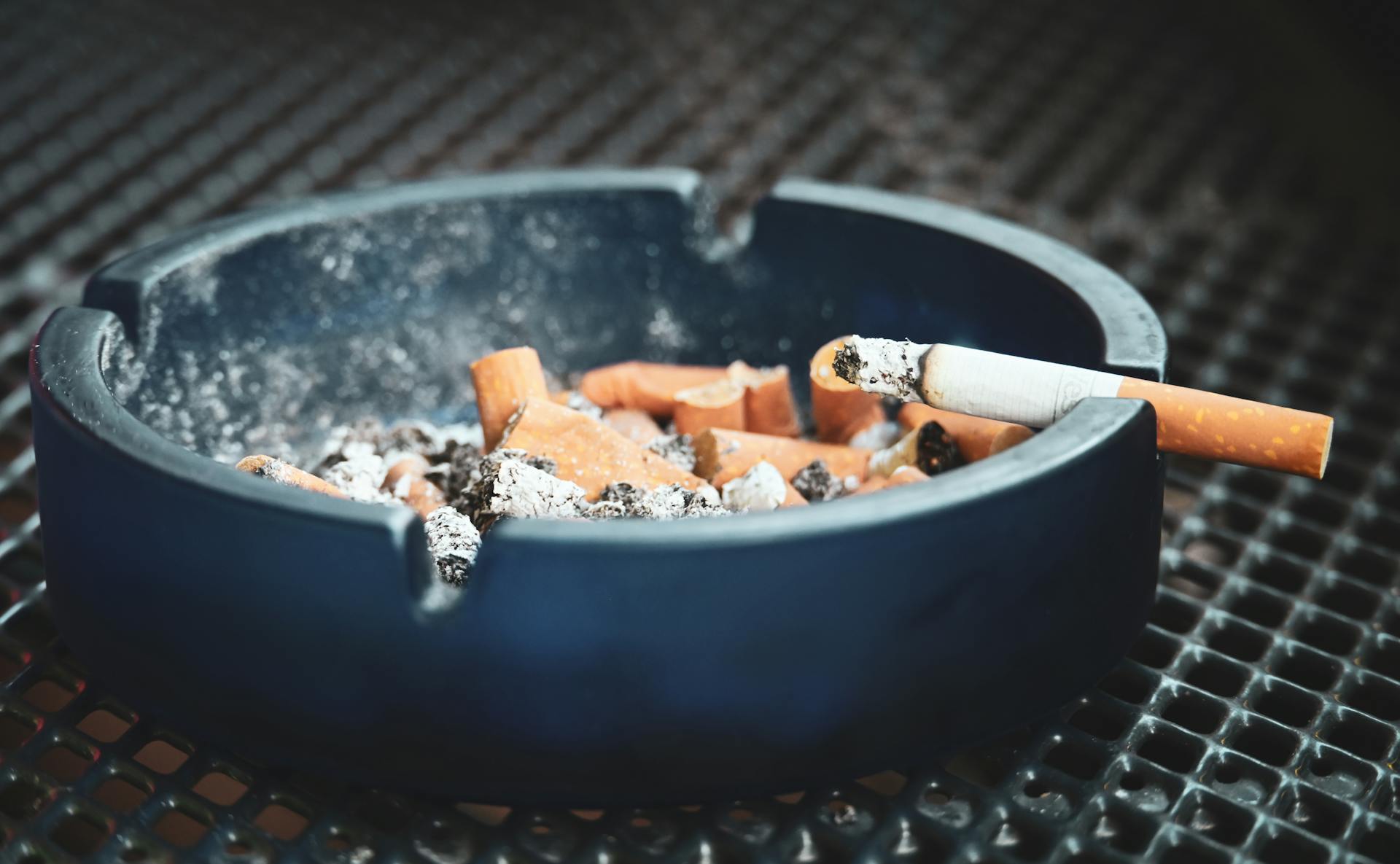 Pet and smoke odor removal in Kingman, AZ Pet and smoke odor removal in Kingman, AZ