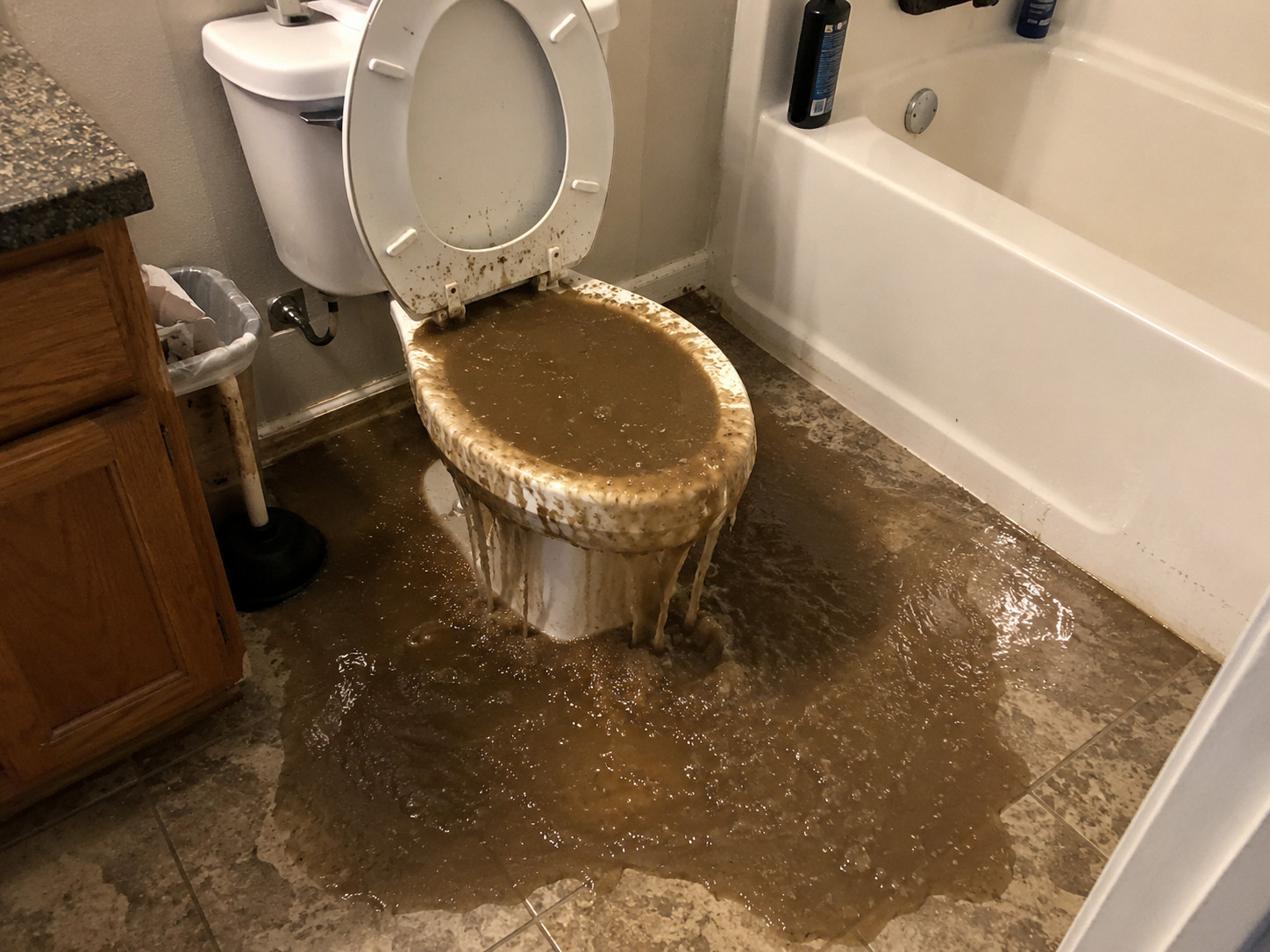 Sewage Cleanup services in Kingman, AZ