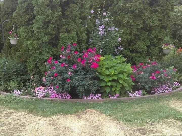 Lawn and Landscaping Services in Grand Ledge, MI