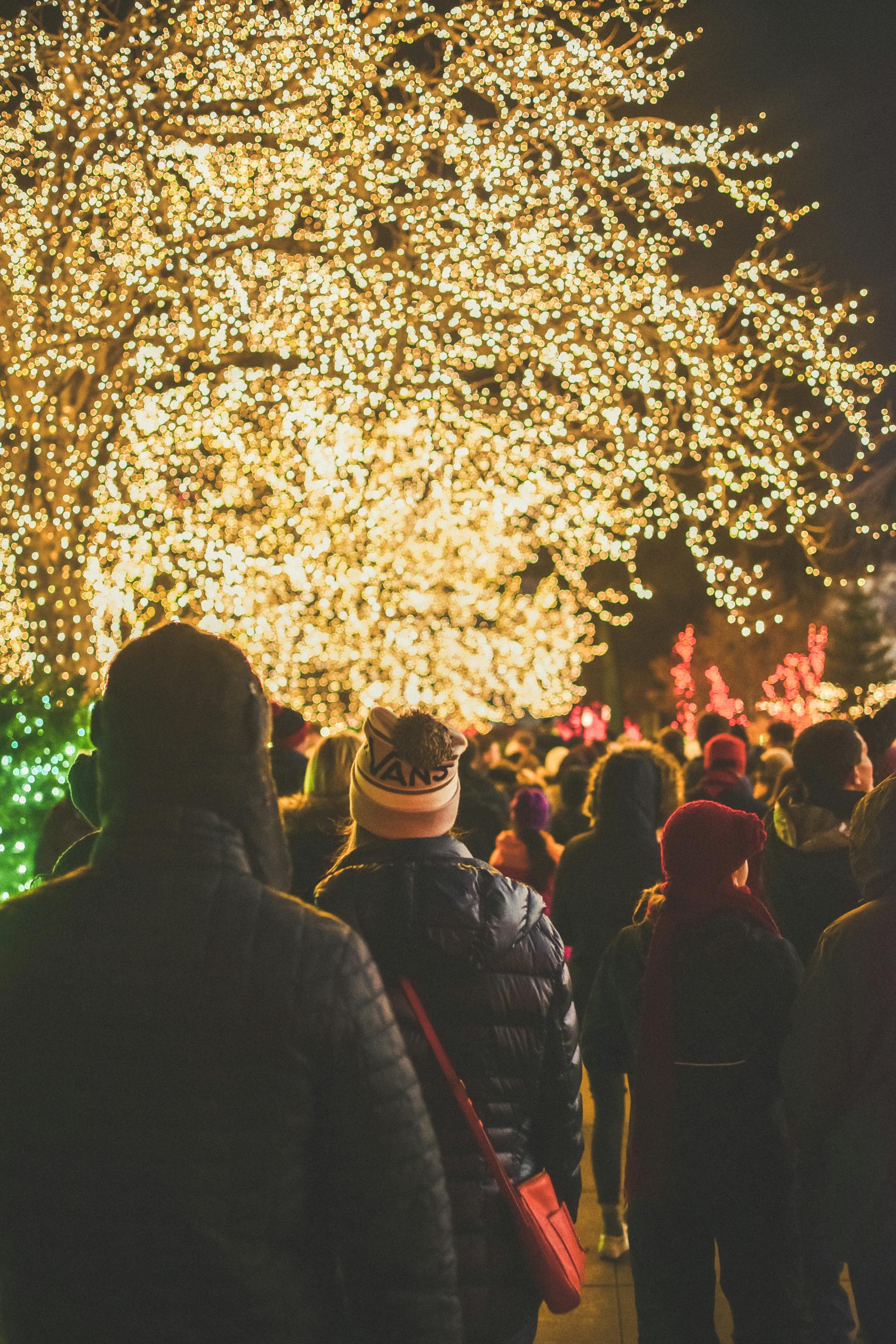 Christmas lighting installation for businesses in Lansing, MI