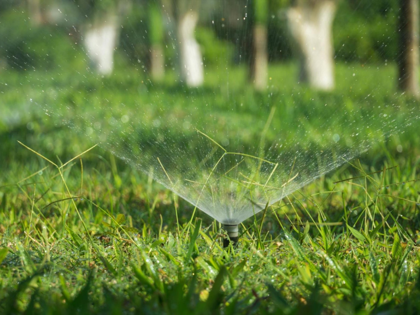 Irrigation Services in Lansing, MI