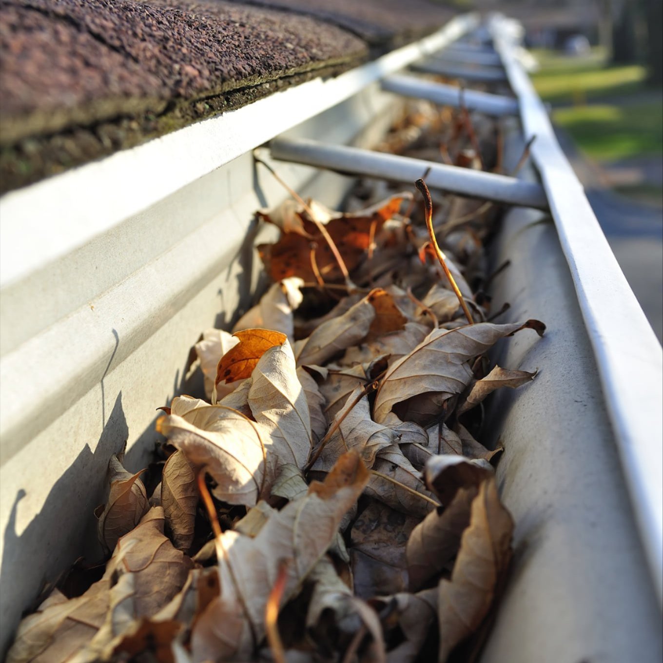 Gutter cleanout Services in Lansing, MI