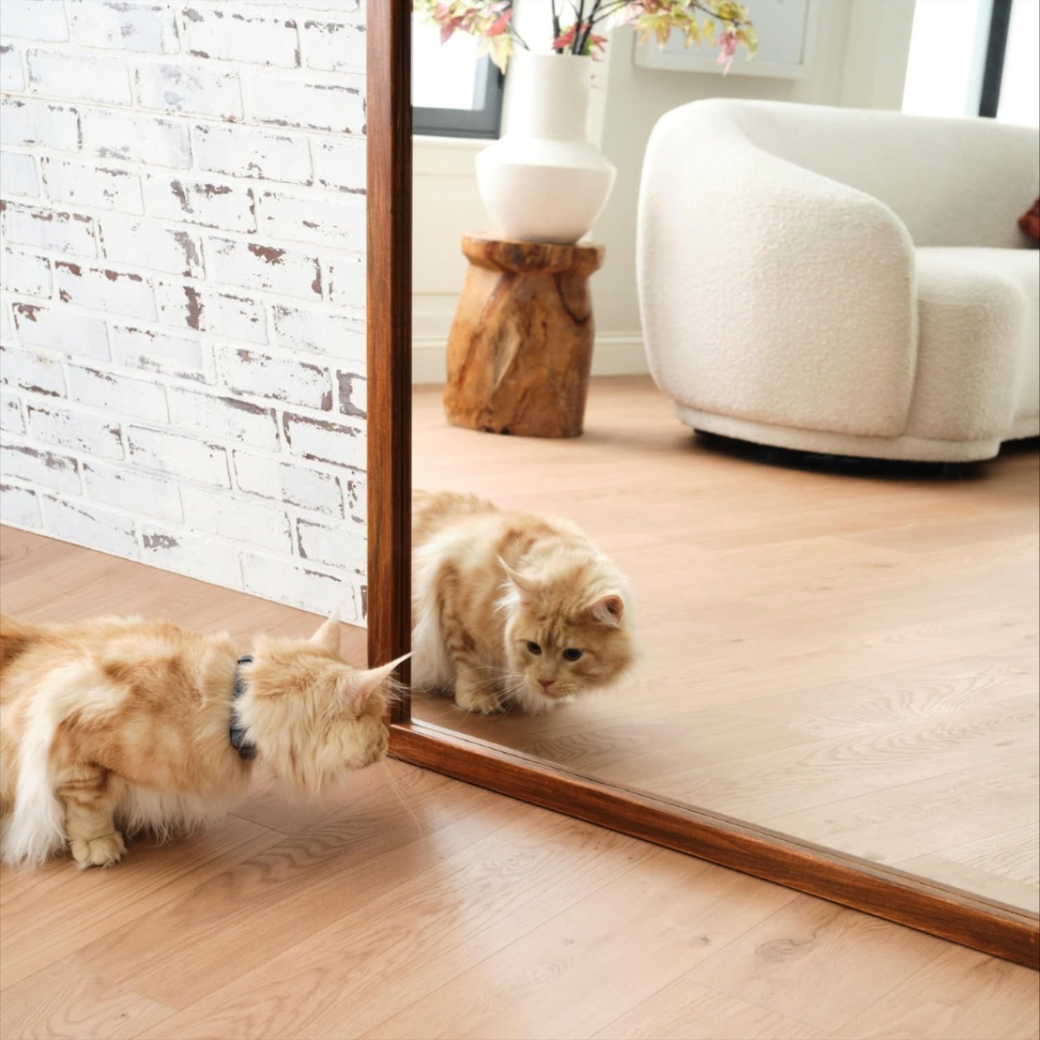 Professional installed laminate flooring in Plant City, FL | Stellar Floor Covering