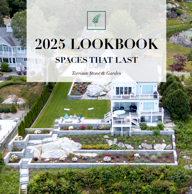 2025 Look Book