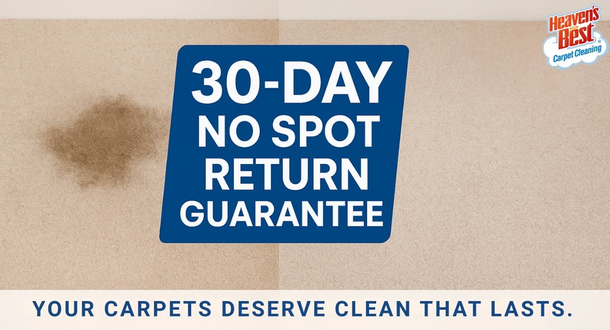 Before and After image of Carpet Cleaning