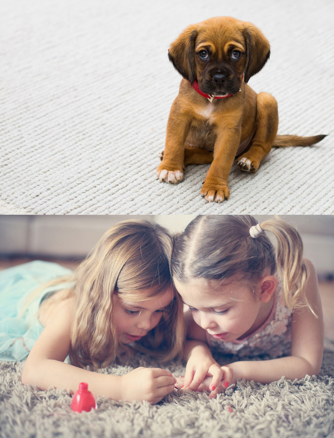 Stacked photos of a puppy sitting on carpet and two children playing on a rug at home Stacked photos of a puppy sitting on carpet and two children playing on a rug at home