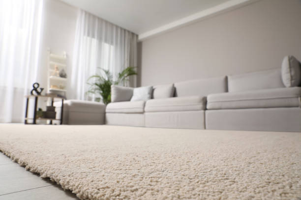 Before and After image of Carpet Cleaning