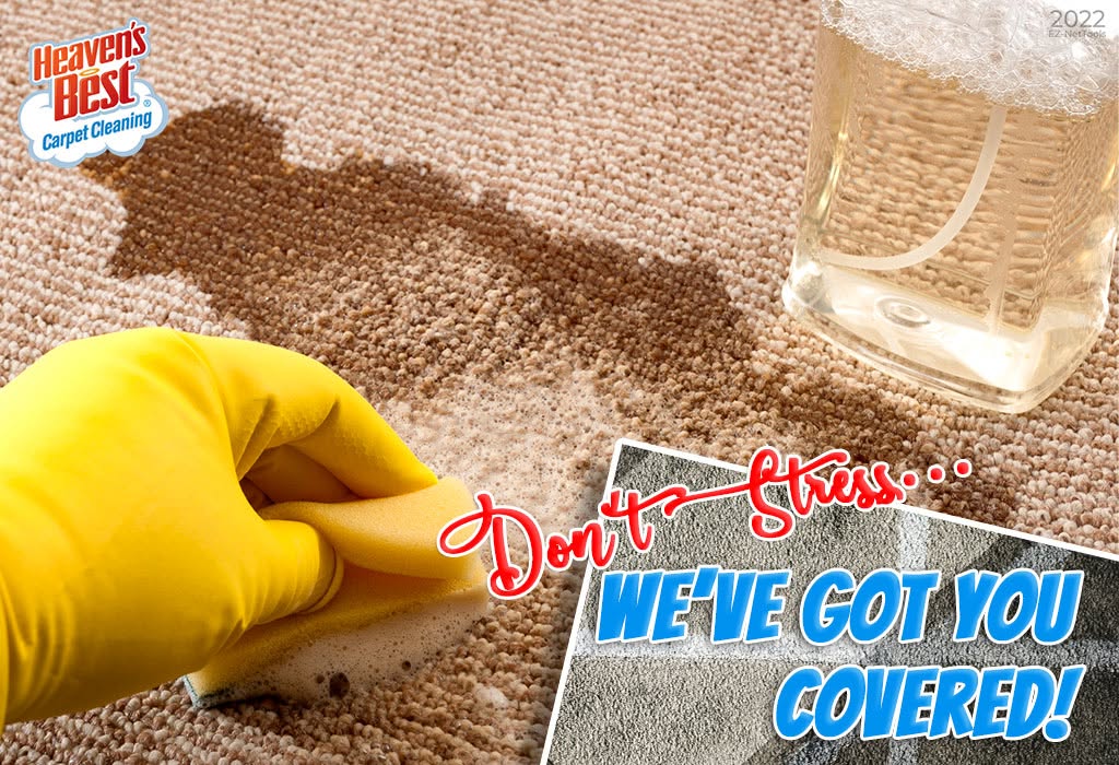 Graphic reading "Don't stress, we've got you covered!" showing a gloved hand treating a carpet stain