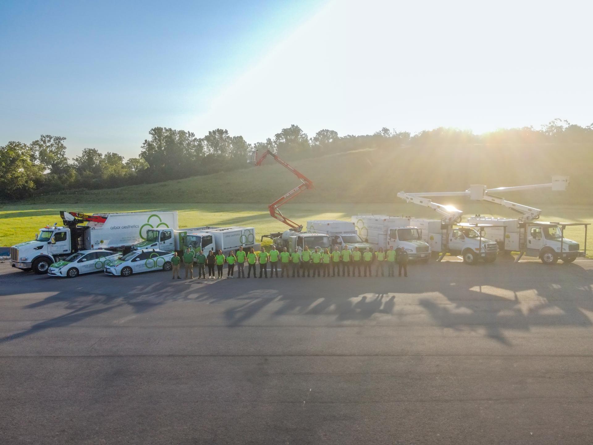 Professional Arborist Tree Services in Elkhorn, Omaha, NE