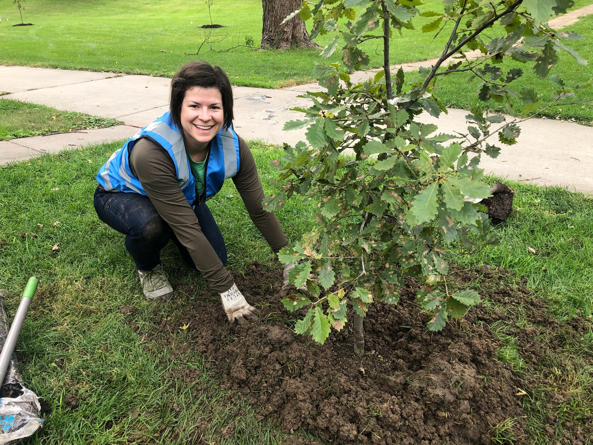 Professional Arborist Tree Services in Omaha, NE