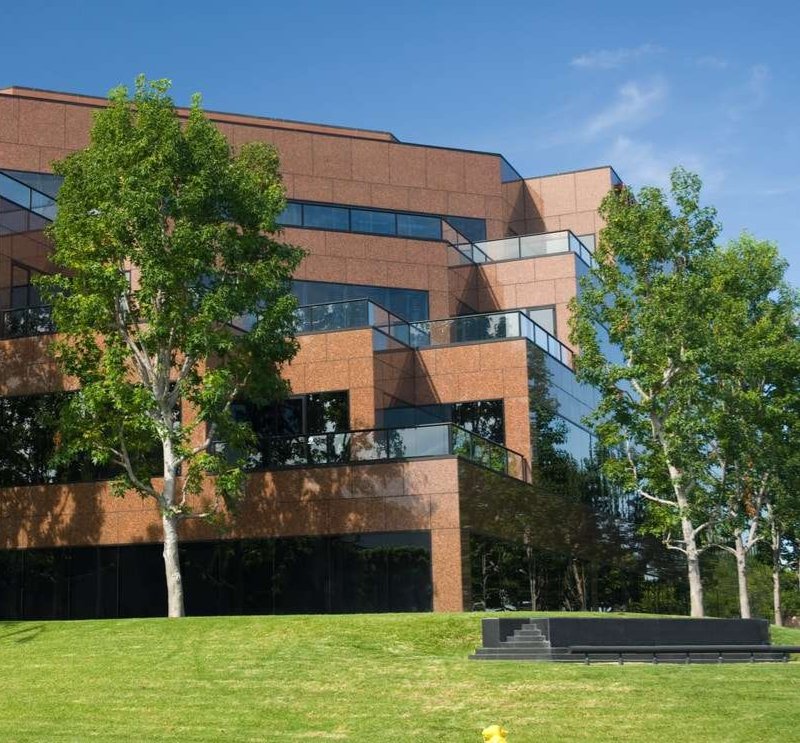 Professional Arborist Tree Services for businesses in Omaha, NE