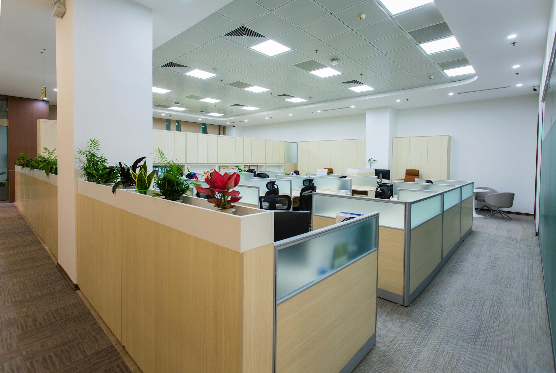 Cascade Cleaning Services in Boise, ID