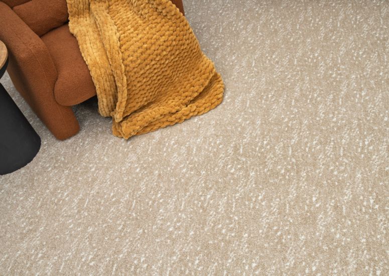 Care and maintenance of carpet flooring in Phoenix, AZ Care and maintenance of carpet flooring in Phoenix, AZ
