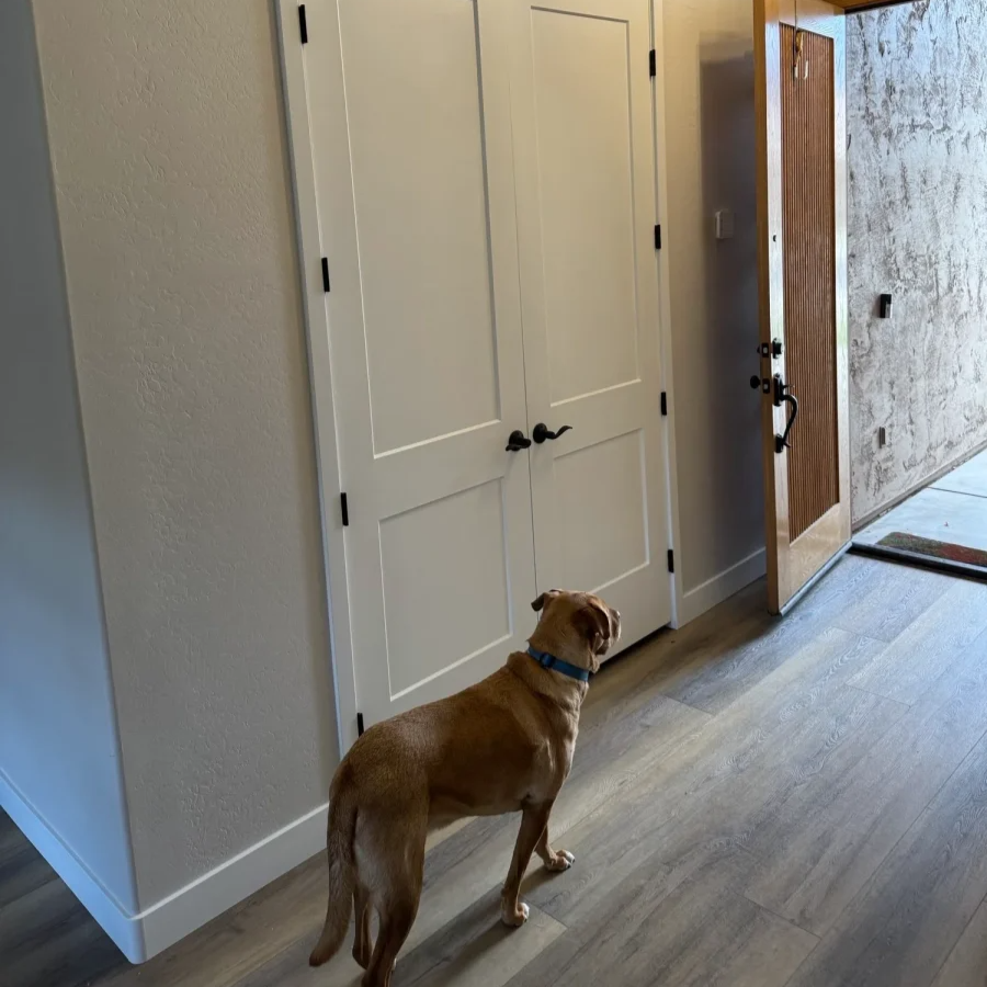 Signs your Phoenix, AZ home floors are in need of repair Signs your Phoenix, AZ home floors are in need of repair