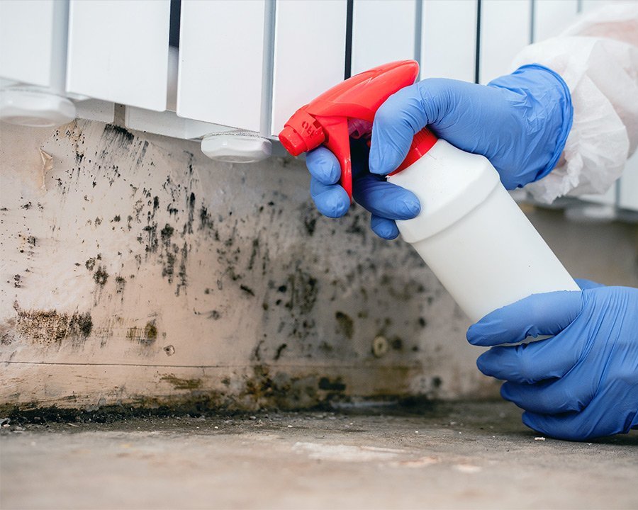 Professional Mold Remediation in Wisconsin | Valor Restoration