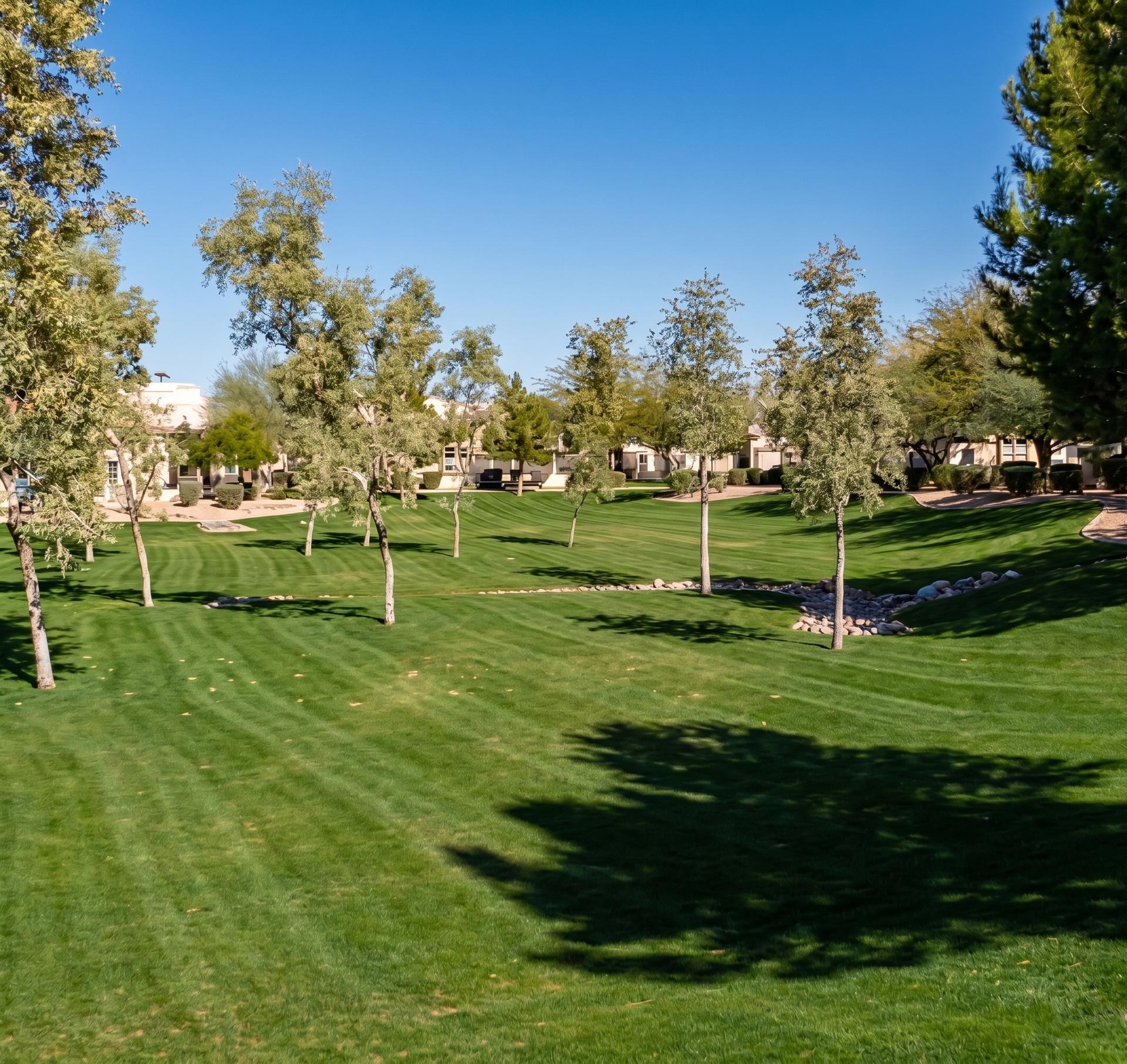 Broad HOA lawn with fresh mowing stripes, bordered by mature shade trees and rock beds Broad HOA lawn with fresh mowing stripes, bordered by mature shade trees and rock beds