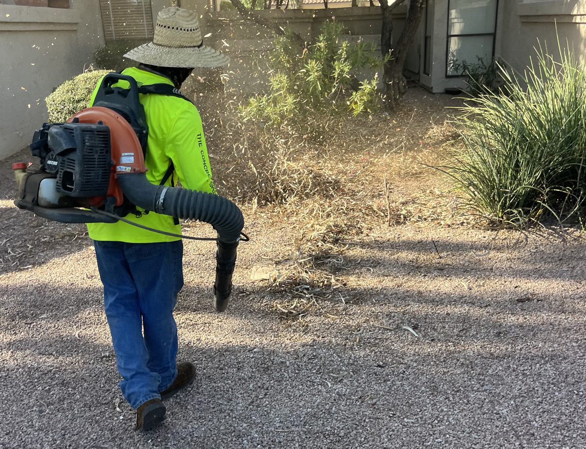 Crew member using a backpack blower to clear debris from a gravel bed beside ornamental grasses Crew member using a backpack blower to clear debris from a gravel bed beside ornamental grasses