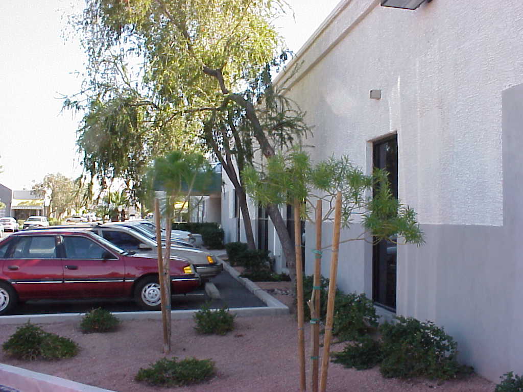 Young trees and desert plantings framing a parking lot beside a commercial building Young trees and desert plantings framing a parking lot beside a commercial building