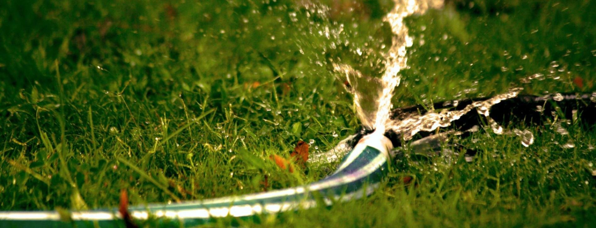 Low sprinkler stream fanning water across a thick green lawn, backlit by afternoon sun