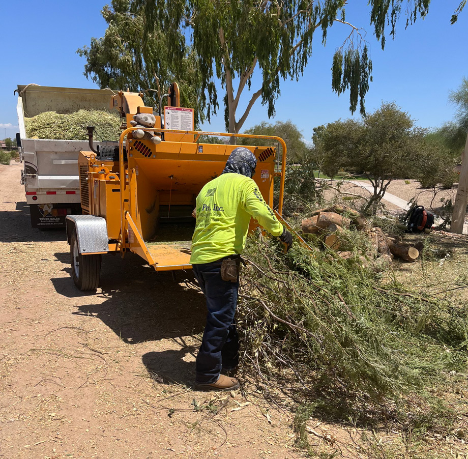 TerraPro crew member feeding cut brush into a wood chipper on a desert property with boulders TerraPro crew member feeding cut brush into a wood chipper on a desert property with boulders