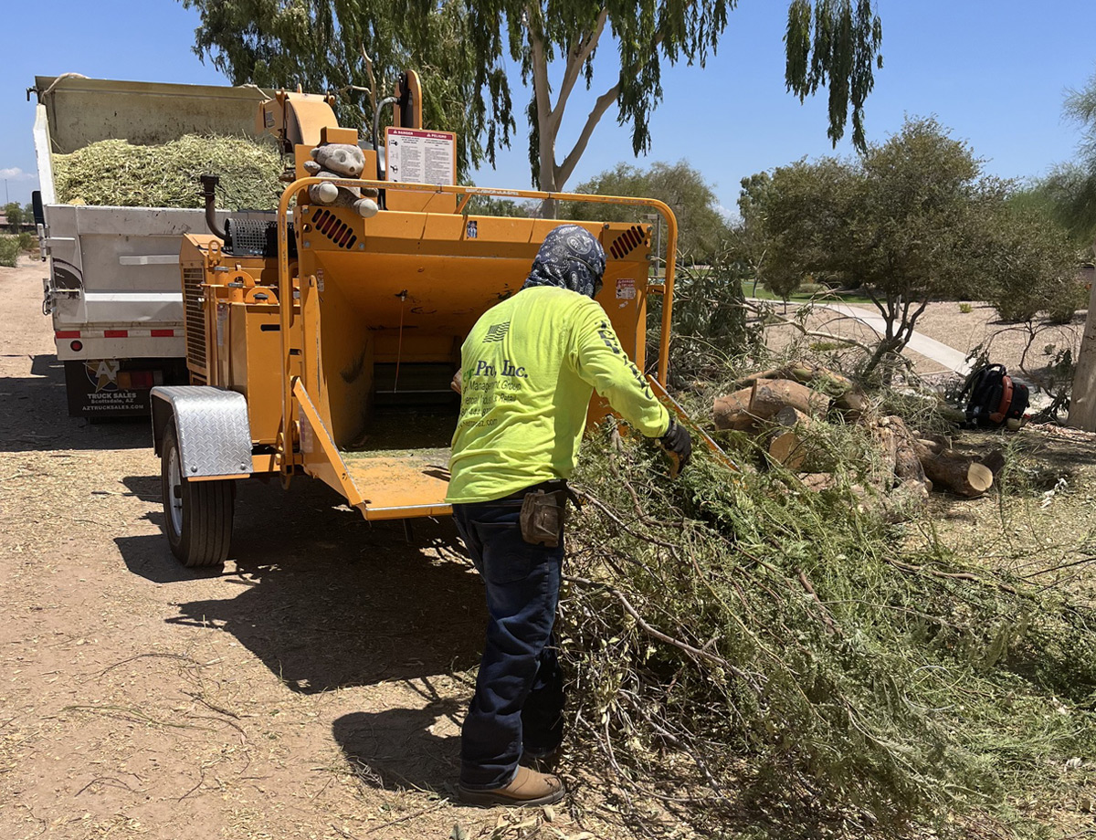 Crew member feeding cut brush into a wood chipper on a desert property with boulders Crew member feeding cut brush into a wood chipper on a desert property with boulders