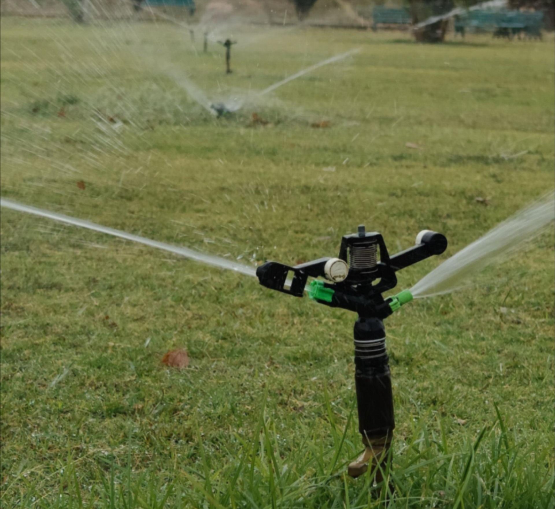 Sprinkler head spraying water across a green lawn