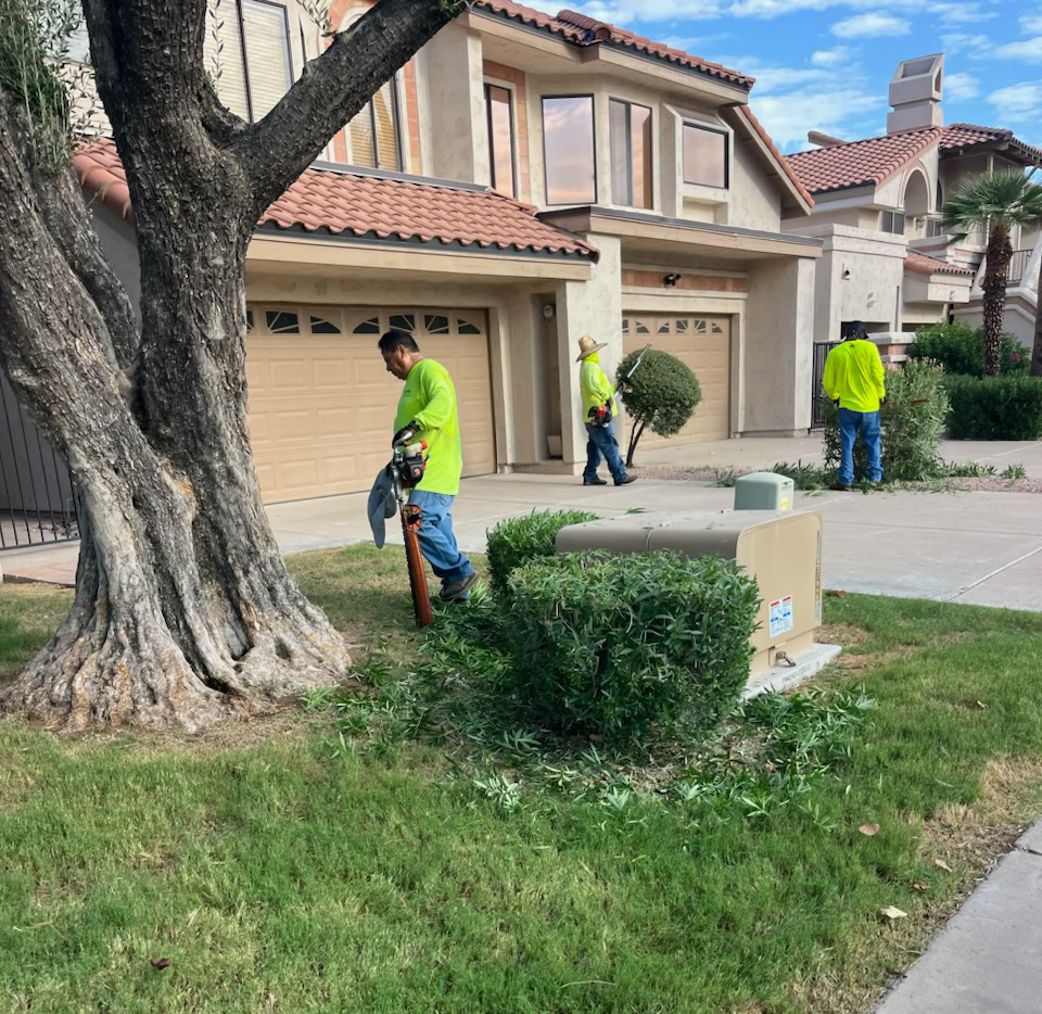 Three TerraPro crew members maintaining shrubs and turf in front of a two-story home's garage