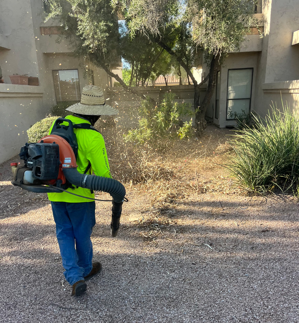 TerraPro crew member using a backpack blower to clear debris from a gravel bed beside a building