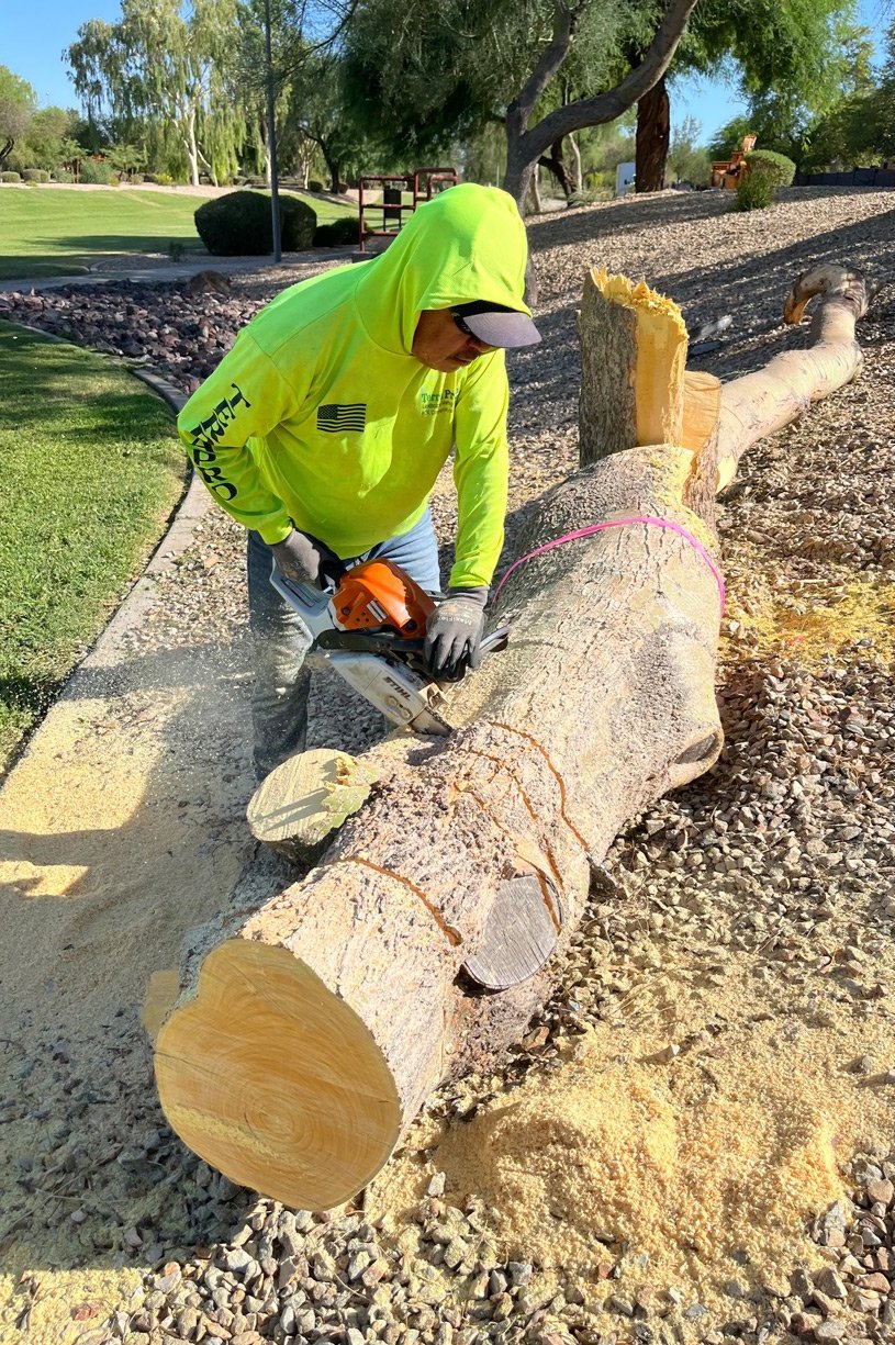 TerraPro crew member kneeling to buck a felled trunk with a chainsaw beside a gravel path TerraPro crew member kneeling to buck a felled trunk with a chainsaw beside a gravel path