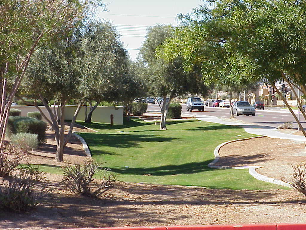 Mown lawn with mature shade trees and a curving sidewalk along a residential street Mown lawn with mature shade trees and a curving sidewalk along a residential street