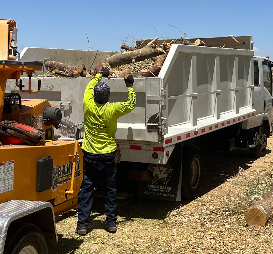 TerraPro crew member loading cut tree branches into a dump truck beside a wood chipper