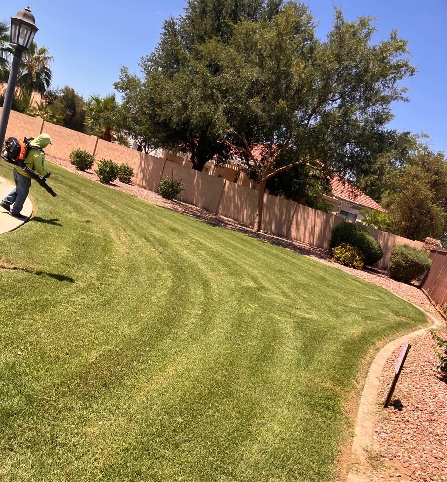 TerraPro crew member using a backpack blower on a freshly striped lawn beside a block wall TerraPro crew member using a backpack blower on a freshly striped lawn beside a block wall