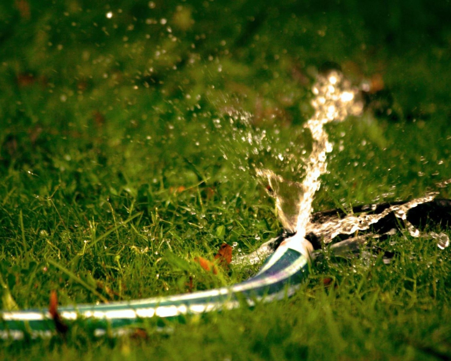 Irrigation sprinkler spraying an arc of water across a sunlit green common-area lawn Irrigation sprinkler spraying an arc of water across a sunlit green common-area lawn