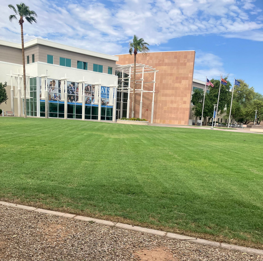 Commercial office campus with a manicured lawn, palm trees, and flagpoles under a blue sky
