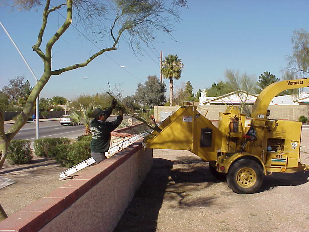 Crew member standing on a block wall, feeding trimmed branches down into a wood chipper Crew member standing on a block wall, feeding trimmed branches down into a wood chipper