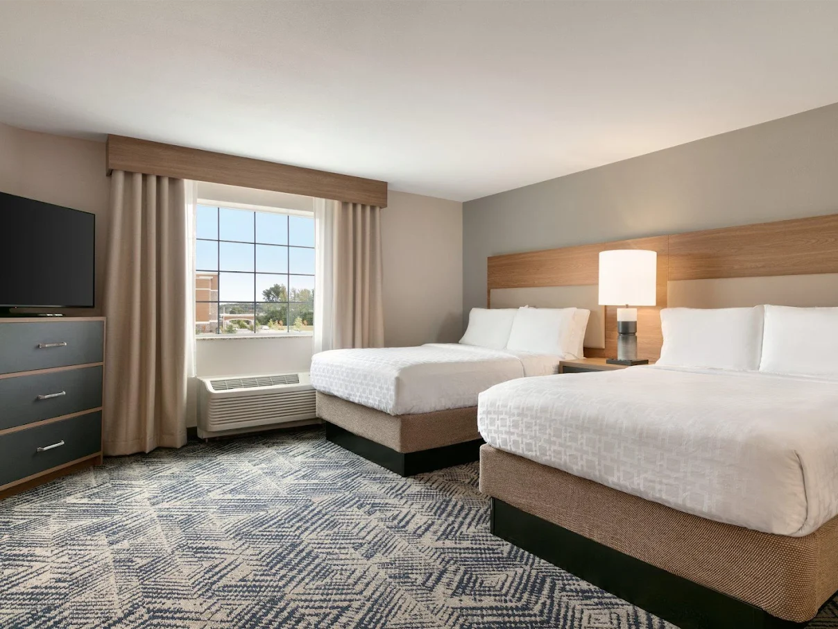 Professional Carpet Cleaning in Fayetteville, NC | New Again Carpet Cleaning Professional Carpet Cleaning in Fayetteville, NC | New Again Carpet Cleaning