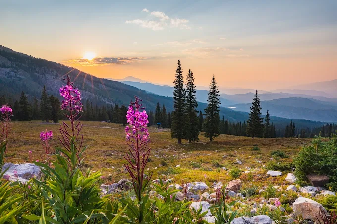 Restoration & Cleaning Services in Snowmass, CO
