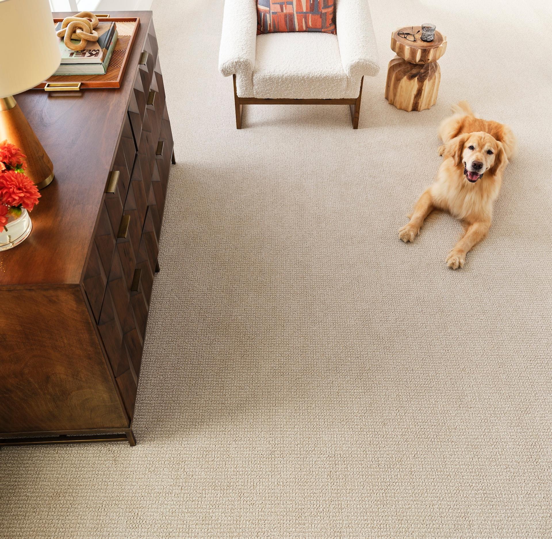Carpet store in Mukwonago, WI Carpet store in Mukwonago, WI