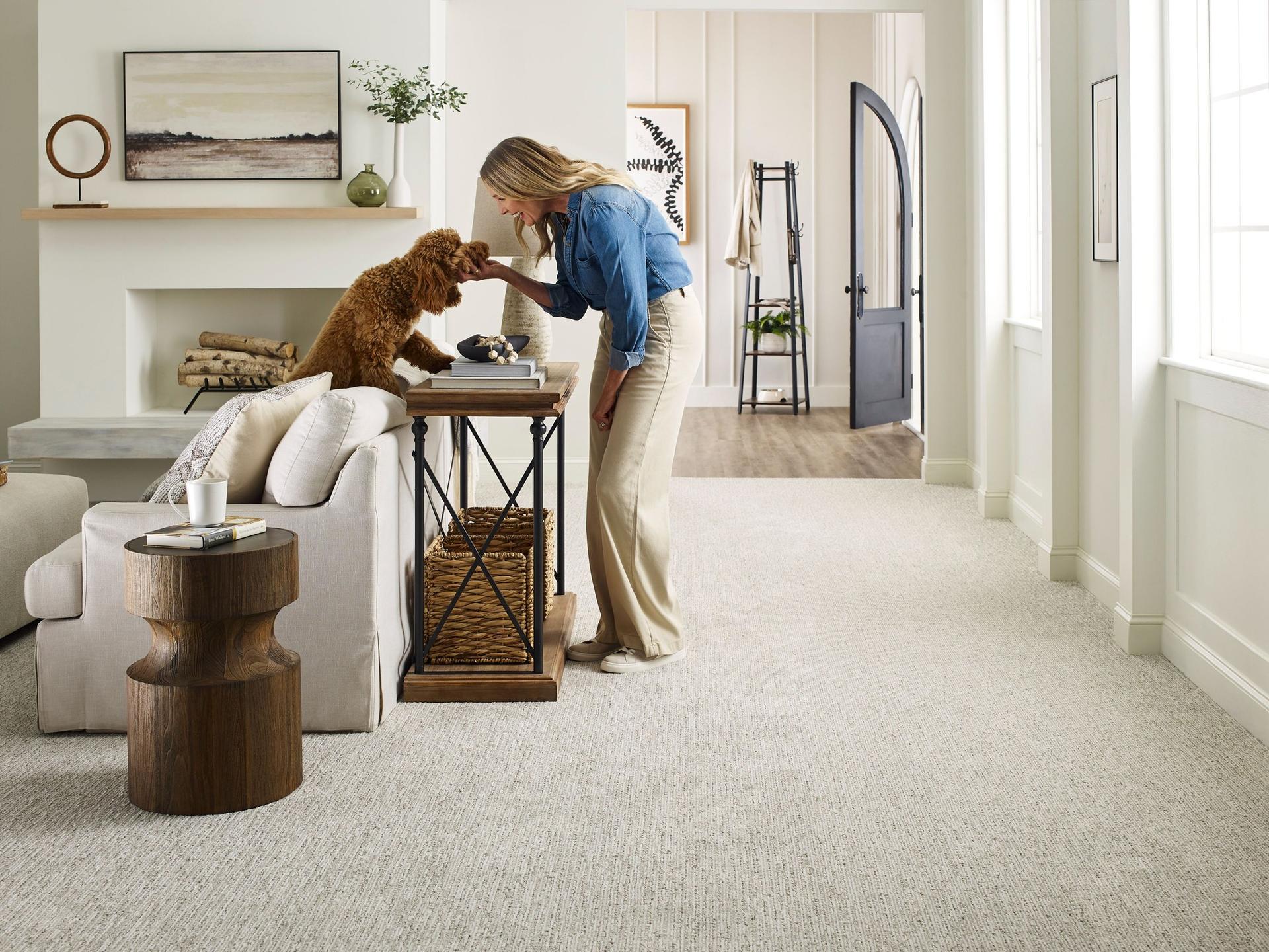 Carpet care and maintenance tips in Mukwonago, WI Carpet care and maintenance tips in Mukwonago, WI