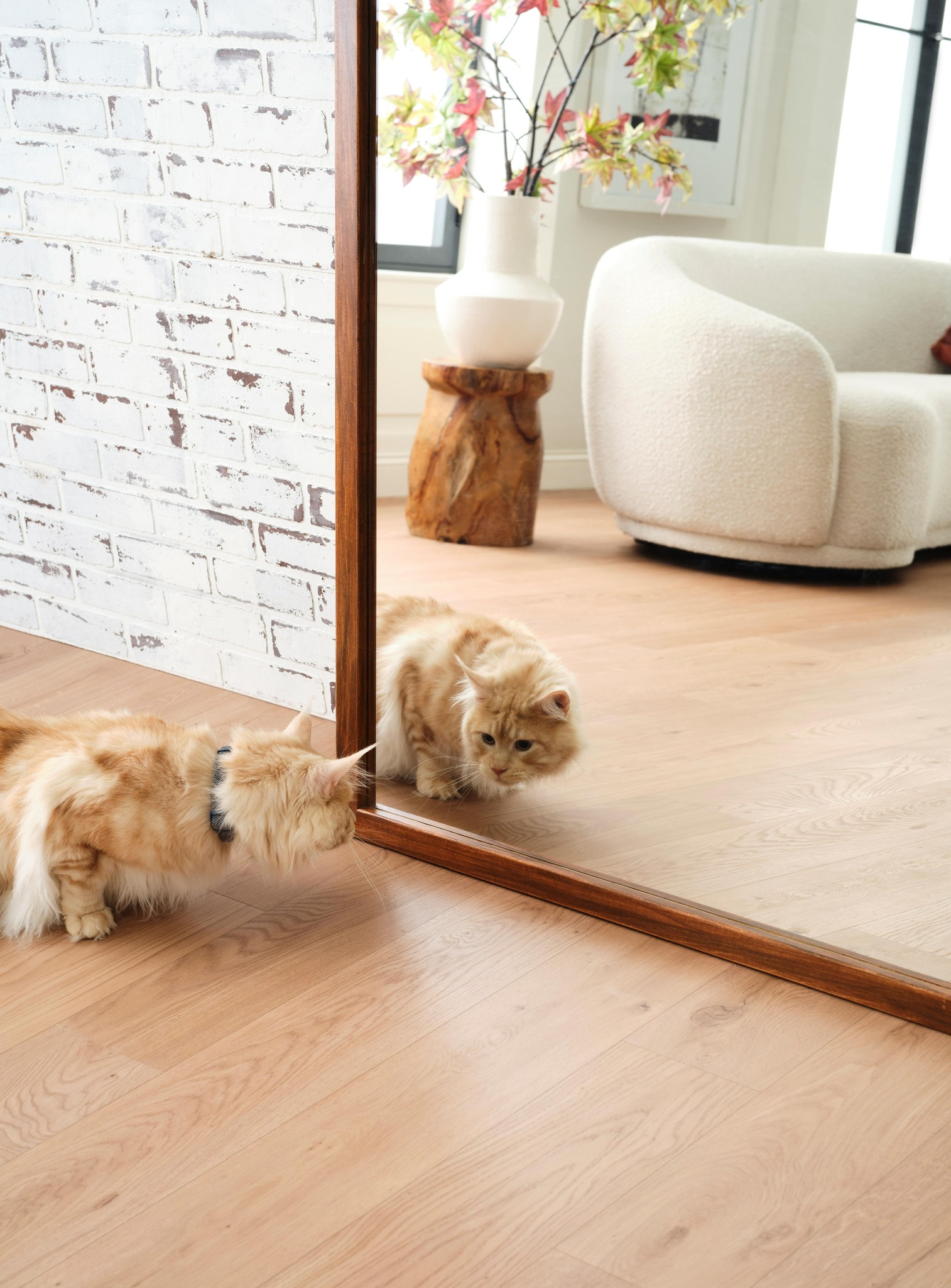 Hardwood flooring care and maintenance tips in Mukwonago, WI Hardwood flooring care and maintenance tips in Mukwonago, WI