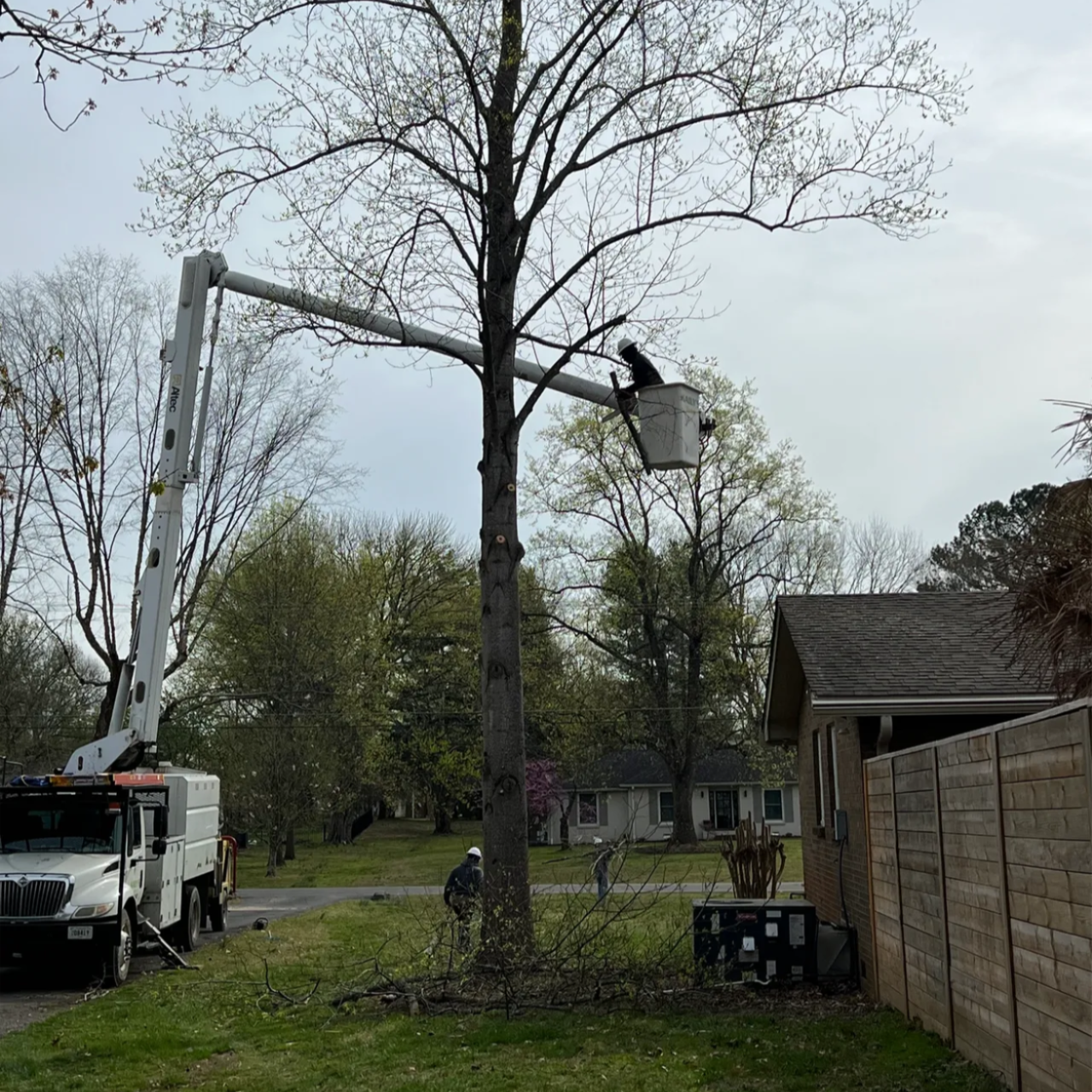 Josh Martin Tree Service in Antioch, TN