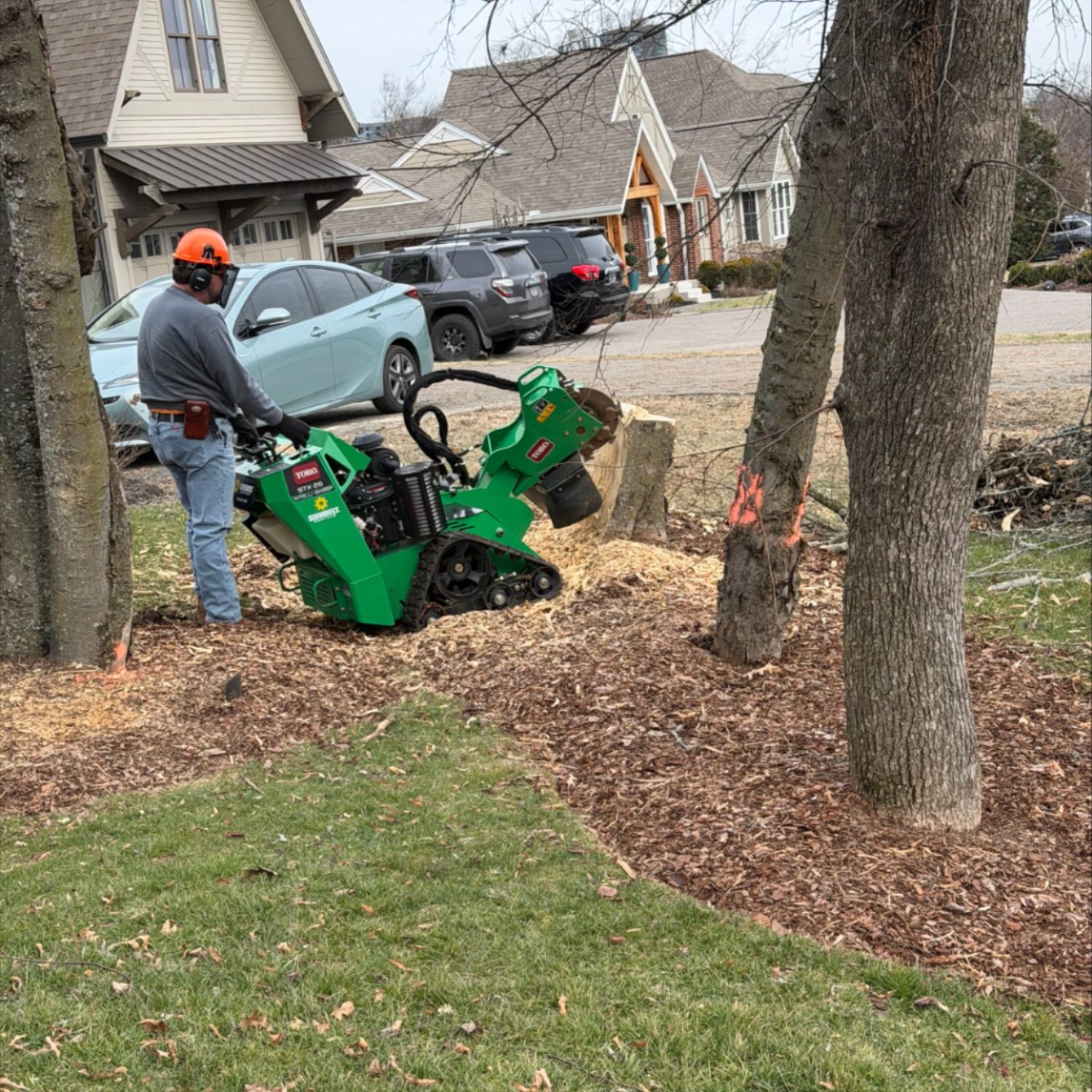 Professional stump grinding in Franklin, TN