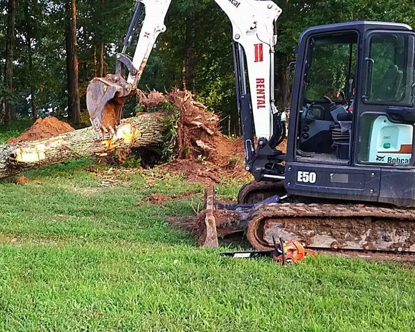 Josh Martin Tree Service in Franklin, TN