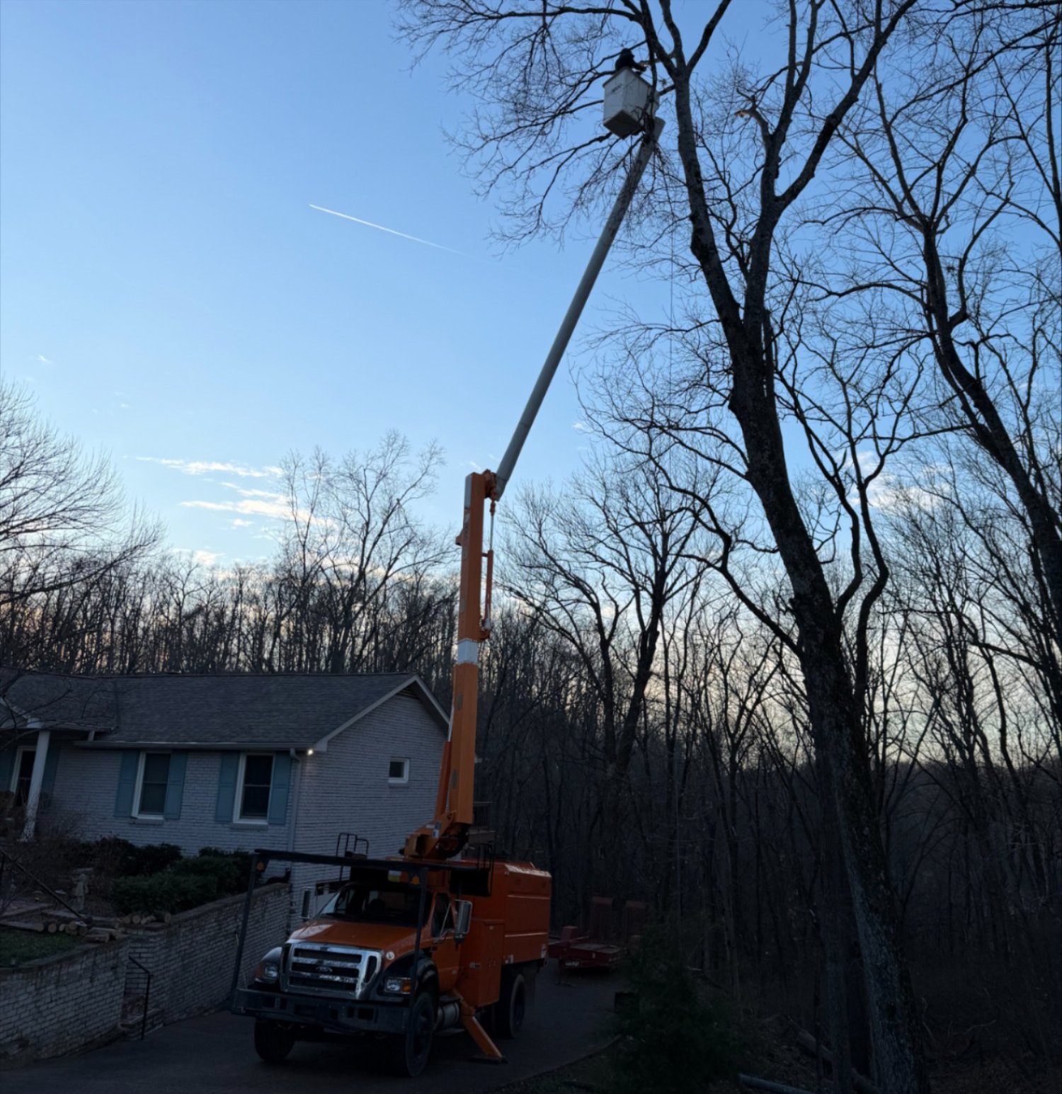 Professional tree trimming services in Franklin, TN