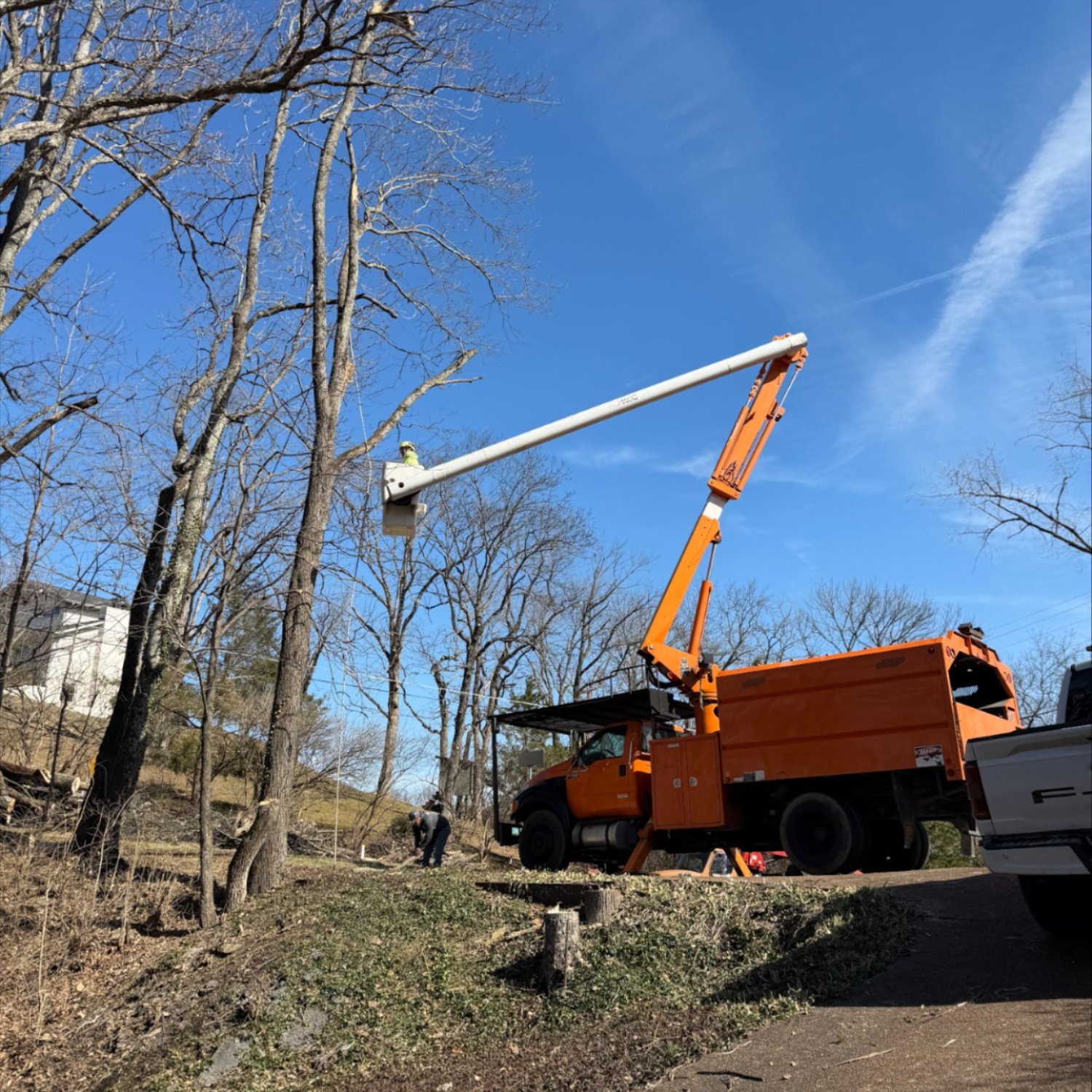 Josh Martin Tree Service in Brentwood, TN