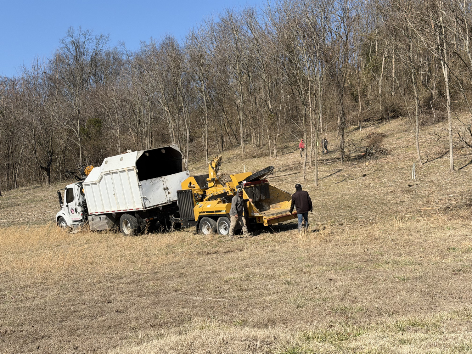 Professional land clearing in Franklin, TN