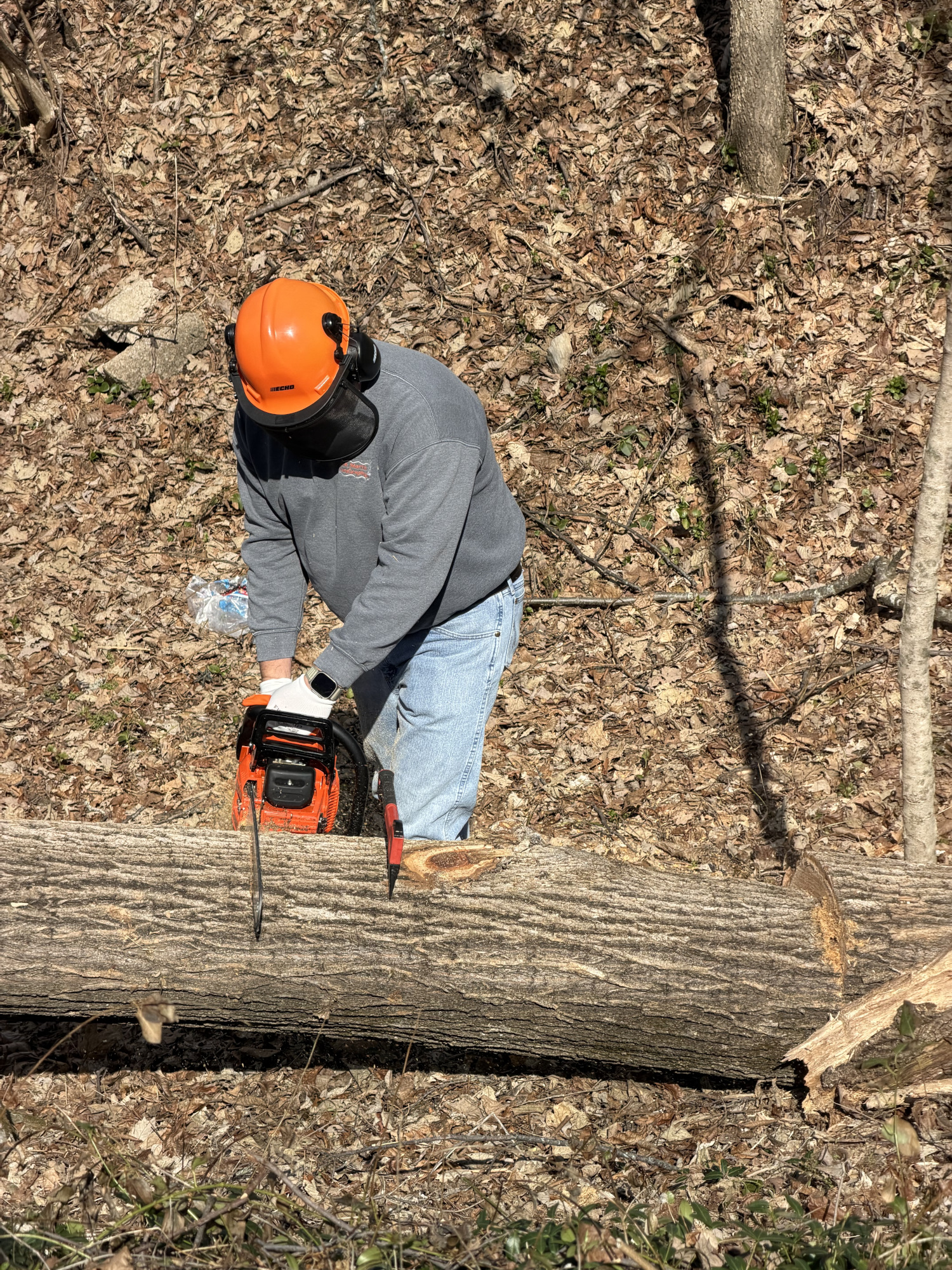 Josh Martin Tree Service in Oak Hill, TN