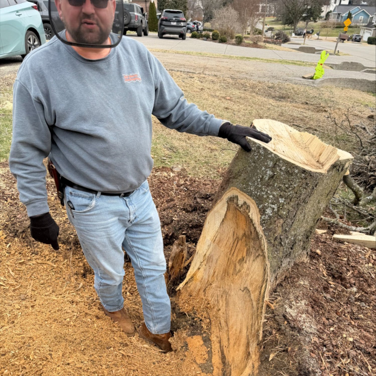 Josh Martin tree services in Franklin, TN
