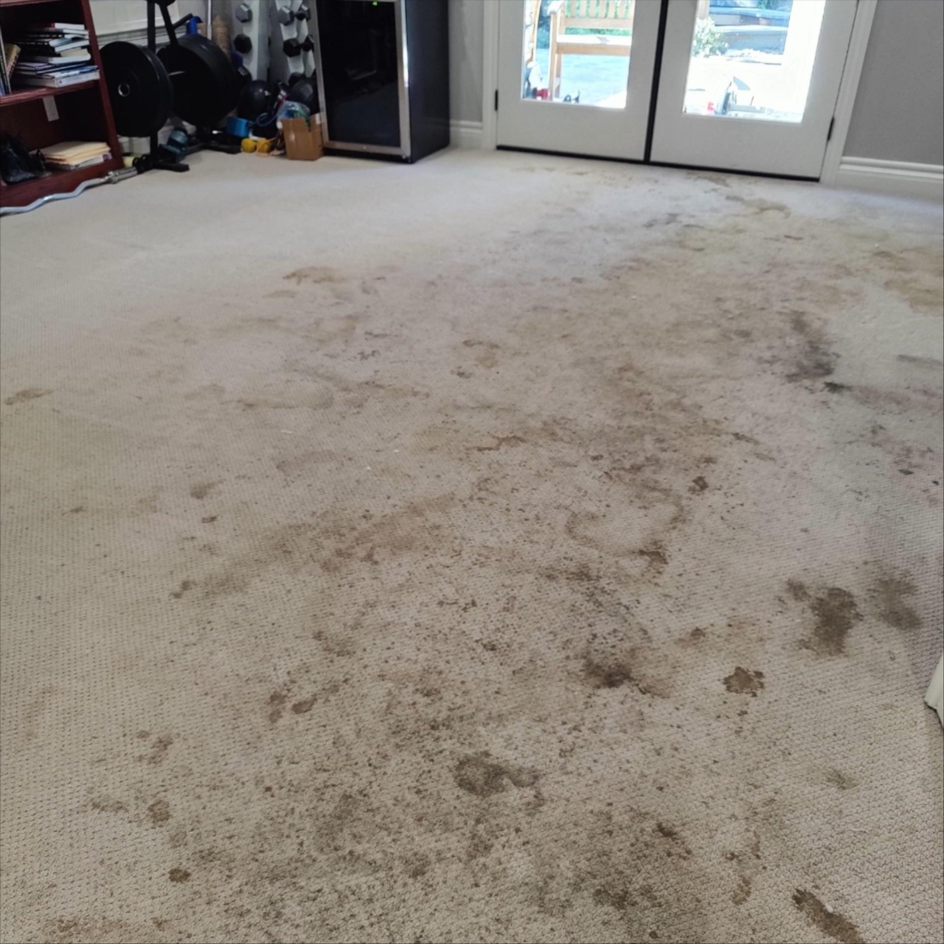 Before images of a carpet cleaning service in Fresno, CA Before images of a carpet cleaning service in Fresno, CA
